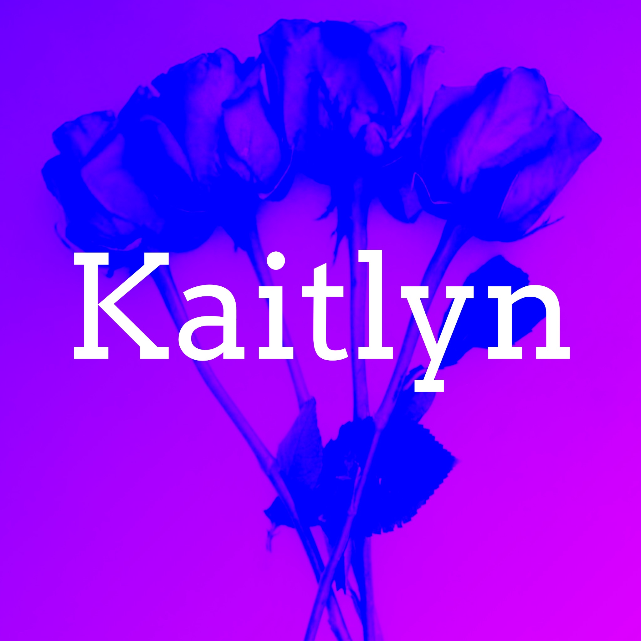Kaitlyn Cover